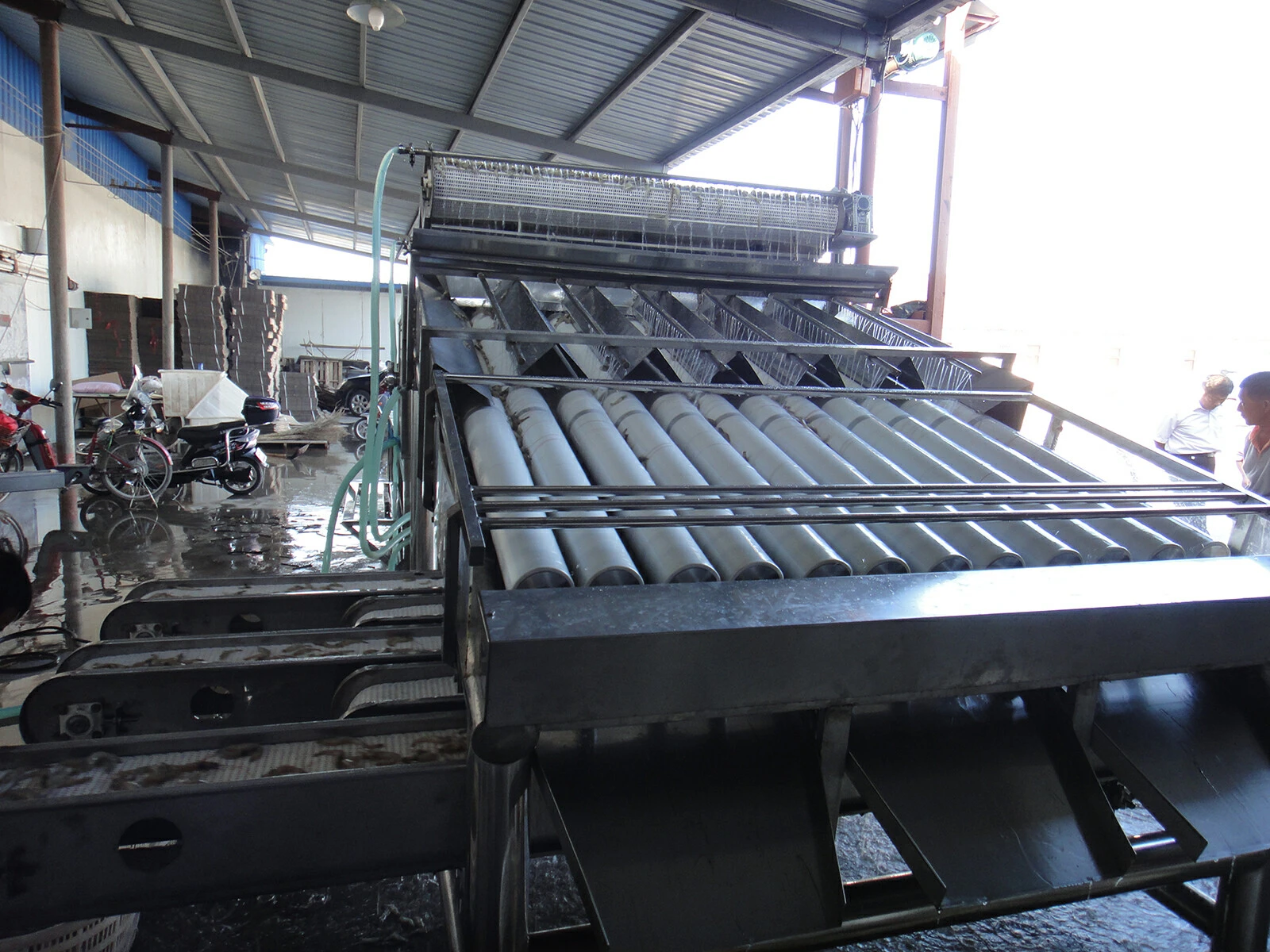 Shrimp Grading Machine Shrimp Grading Machine