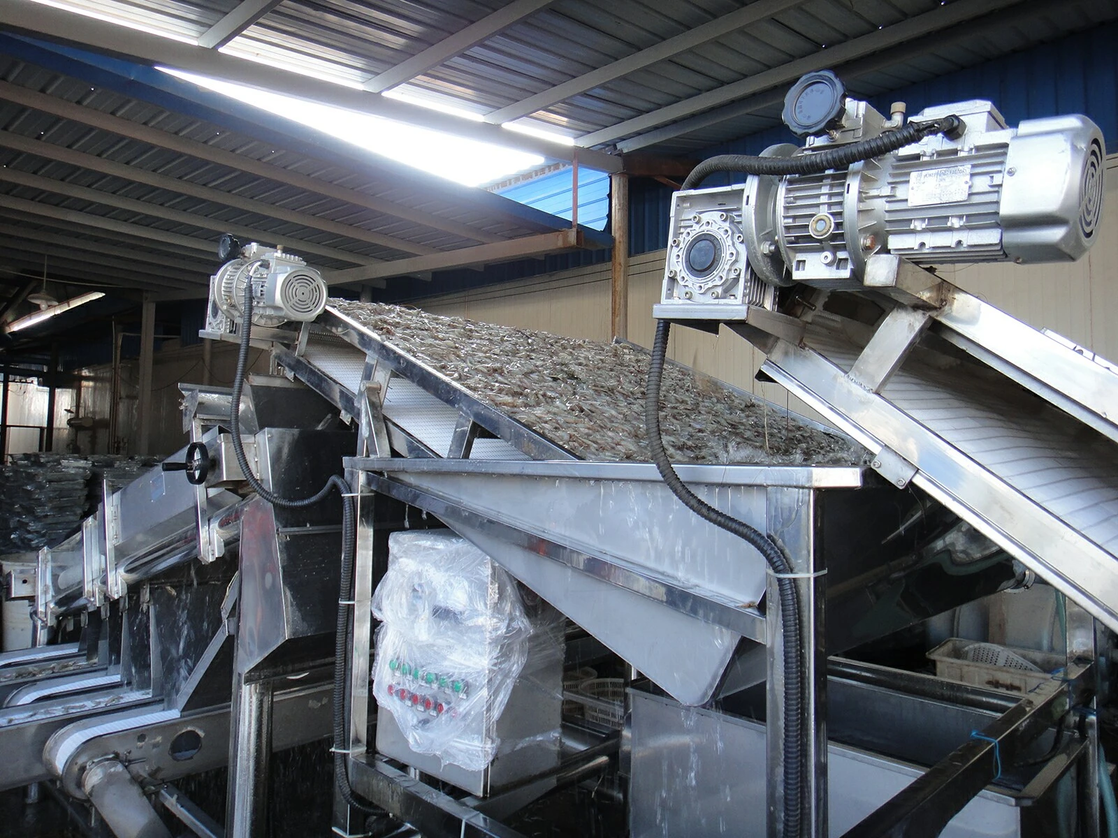 Shrimp Grading Machine Shrimp Grading Machine